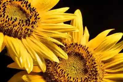 모바일 게임 추천 Date A Live: Spirit Pledge HD 미소녀 졍령들과 함께 하는 수집형 RPG 후기