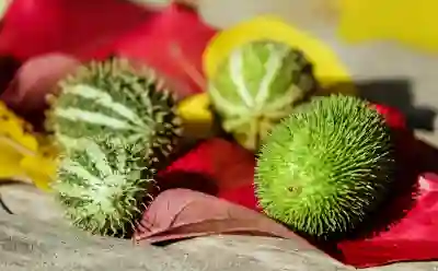 갤럭시 S23 디자인, 스펙 전체적으로 예상되는 점은 무엇이 있나