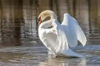 기계식 키보드 로지텍 G913 TKL 택타일 화이트 럭셔리한 느낌을 내고 싶다면