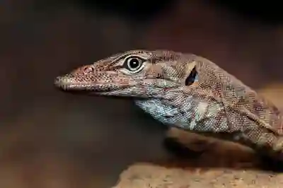 멀티비전과 비디오월 모니터 설치의 필요성과 특징 살펴보기