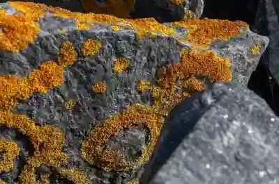 필모라로 mov를 mp4로 변환하는 간단한 방법 알아보자