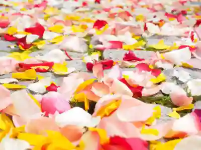 삼국지패도 정식 론칭과 CBT 후기 알아보자