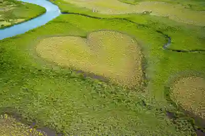 뮤 오리진3 사전예약과 새롭게 달라진 점 알아보자