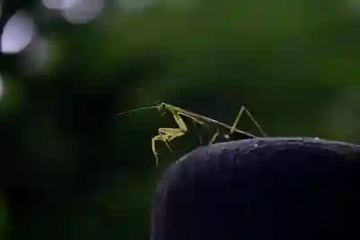 아이폰14 프로 맥스 사전예약 가격과 스펙 알아보자