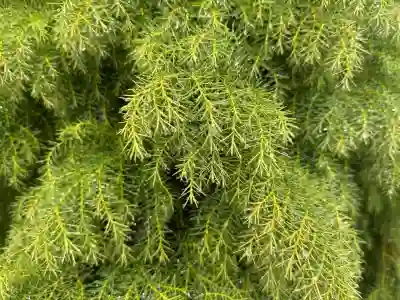 아이피타임 AX3004BCM 기가공유기 추천 이유 살펴보자