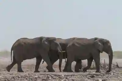 토치라이트 인피니트로 즐기는 디아블로 감성 ARPG 추천 게임 살펴보자