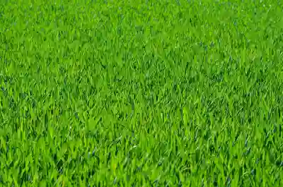 기라티나 어나더폼 레이드 공략과 약점 알아보자