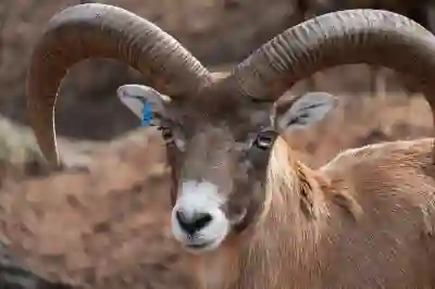 휴테크 안마의자 카이 GTS9 아트모션으로 부모님께 사랑을 전하는 방법 알아보자