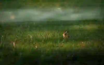 코로나19 예방접종 무료 대상자 및 신청 방법 알아보자