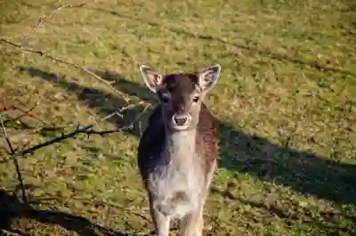 고영주와 고현재 주가 흐름 살펴보기