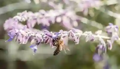 교원웰스 고객센터 이용방법 알아보자