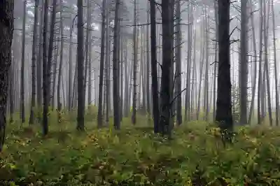 근로소득 지급명세서 제출 완료하는 방법 알아보자