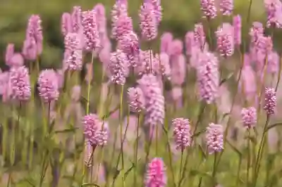 덕수궁 야경을 만끽하는 방법과 석조전의 매력을 알아보자