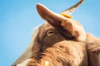 비씨카드 민생지원금 신청 방법과 혜택 완벽히 알아보자