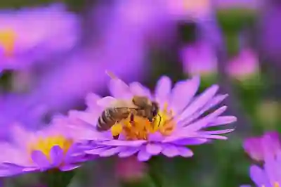 여수 연도 배편 예약과 시간표 완벽하게 알아보자