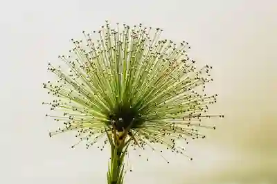 EV9 중고 매물로 신차 계약 취소 후 선택할 3가지 이유