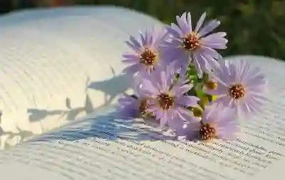 G80 페이스리프트 파퓰러 패키지 필수인지 알아보자