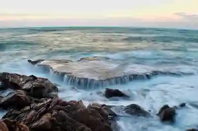 디젤 요소수 대란 걱정 없는 관리법 알아보자