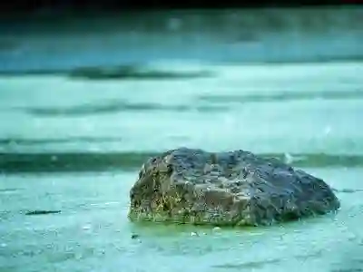 테슬라 모델 X 팔콘윙 도어 수리비와 교체 비용 알아보자