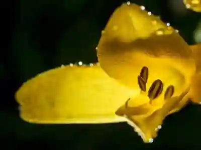 그랜저 하이브리드 실구매가 변동폭 알아보자