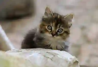 스포티지 하이브리드 출고 대기기간 줄이는 꿀팁