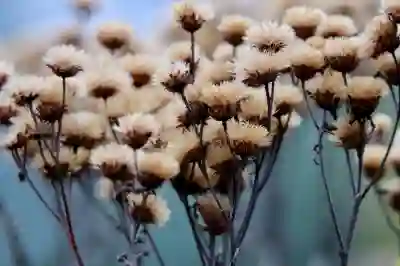 싼타페 하이브리드 신차 패키지 적정 가격 알아보자