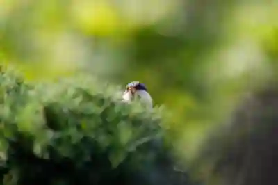 싼타페 하이브리드 엔진오일 증가 이슈 해결을 위한 체크리스트 살펴보기