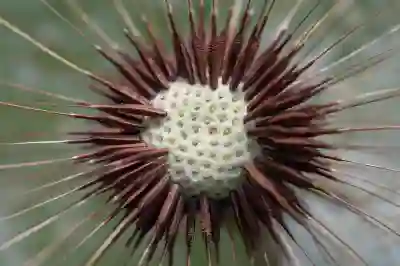 제네시스 G70 단종설에 따른 중고차 시세 변동 예측 방법 알아보자