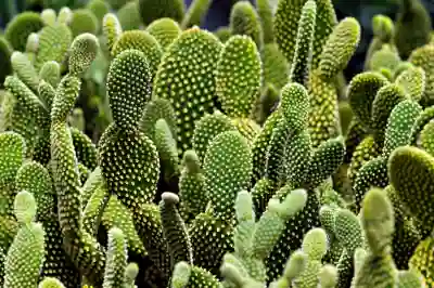 2026 카니발 하이리무진 하이브리드 실비용 알아보자