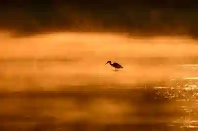 폭스바겐 골프 DSG 미션 수리 비용과 워런티 연장 알아보자