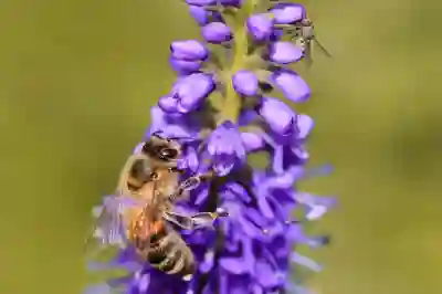 스타리아 라운지 하이브리드 연비를 높이는 꿀팁