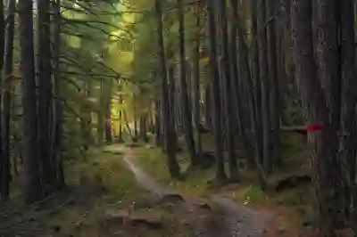 지프 글래디에이터 하드탑 누수 문제 해결을 위한 3가지 방법 알아보자