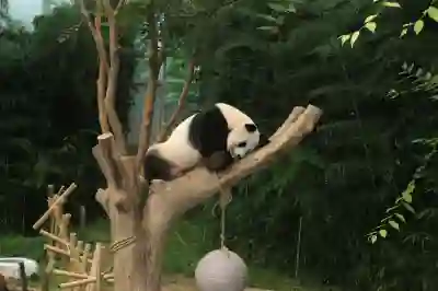 경기도 농어민 기회소득 신청방법 살펴보기