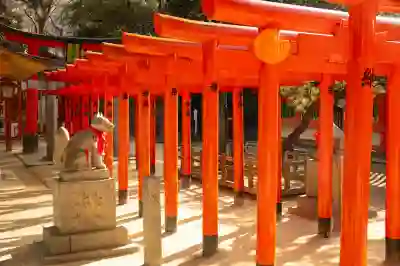 부산 후쿠오카 배편 정보 알아보자