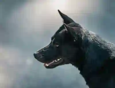 엑셀 무료 설치 방법 알아보자