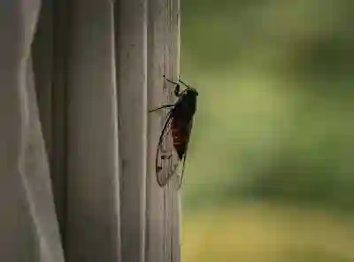 엑셀 무료 다운로드 방법 알아보자