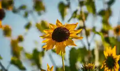 팀뷰어 다운로드와 설치 방법 알아보자