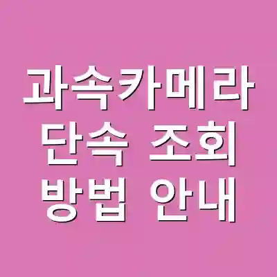 과속카메라 단속 조회 방법 안내