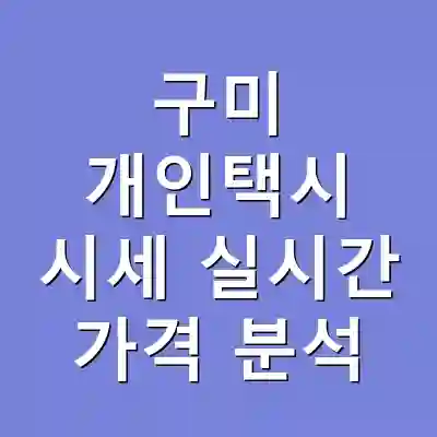 구미 개인택시 시세 실시간 가격 분석