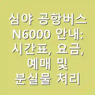 심야 공항버스 N6000 안내: 시간표, 요금, 예매 및 분실물 처리